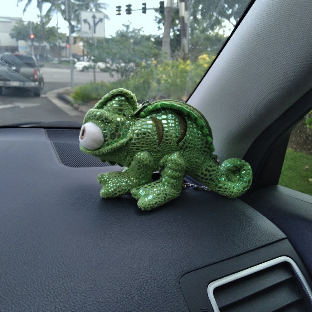 Meet your Posher, Noelle